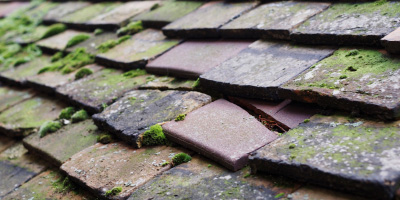 Cwrt Y Cadno roof repair costs